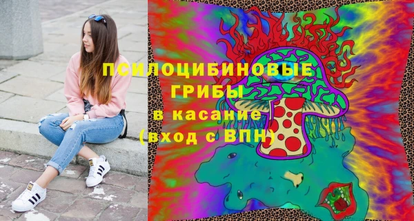 первитин Алексин