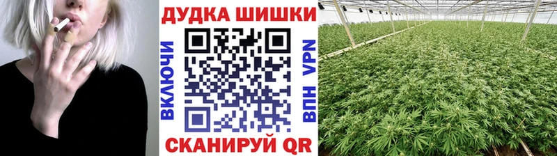 Канабис OG Kush  где купить наркоту  Петушки 